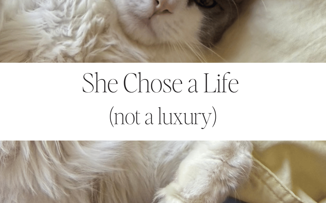 She Chose a Life – Not a Luxury