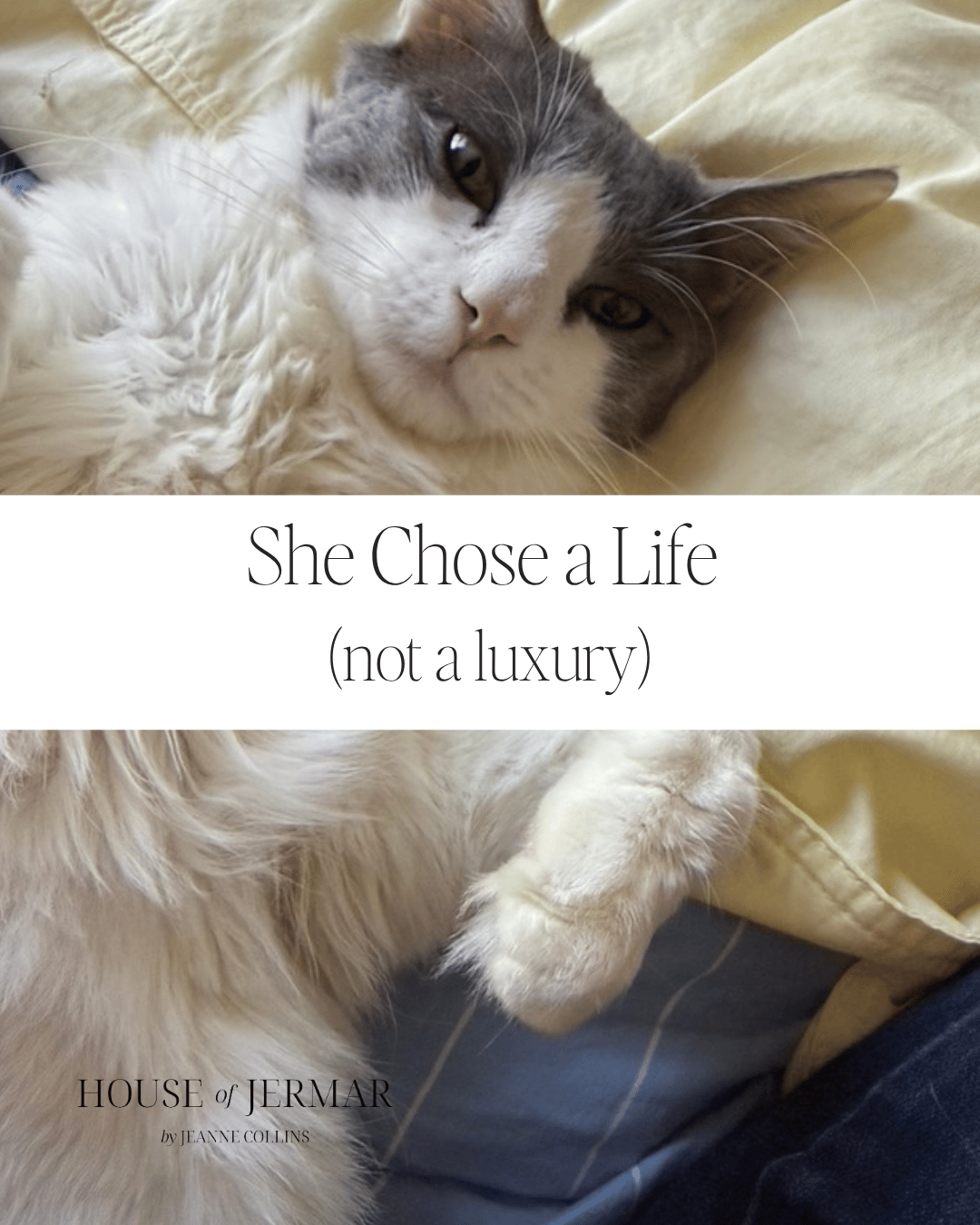 She Chose a Life